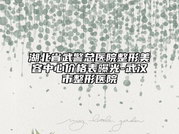 湖北省武警总医院整形美容中心价格表曝光-武汉市整形医院