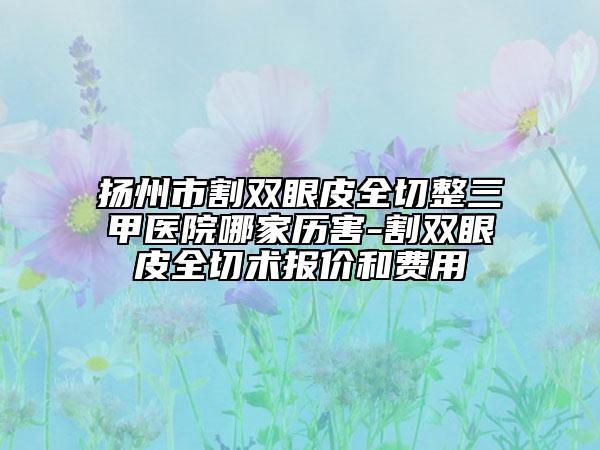 扬州市割双眼皮全切整三甲医院哪家历害-割双眼皮全切术报价和费用