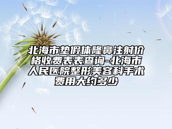 北海市垫假体隆鼻注射价格收费表表查询-北海市人民医院整形美容科手术费用大约多少