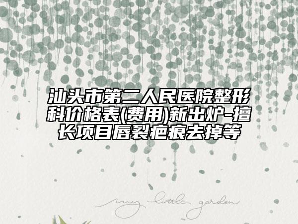 汕头市第二人民医院整形科价格表(费用)新出炉-擅长项目唇裂疤痕去掉等