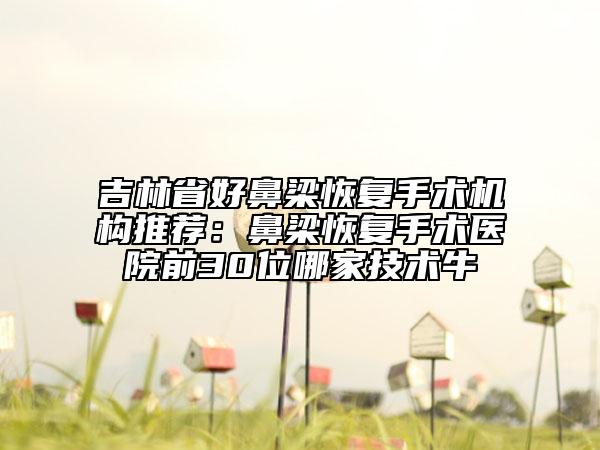 吉林省好鼻梁恢复手术机构推荐：鼻梁恢复手术医院前30位哪家技术牛
