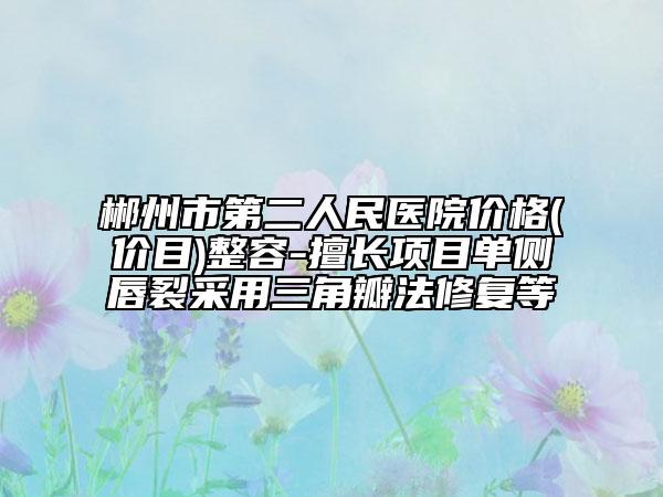 郴州市第二人民医院价格(价目)整容-擅长项目单侧唇裂采用三角瓣法修复等