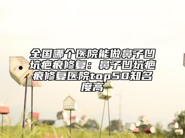 全国哪个医院能做鼻子凹坑疤痕修复：鼻子凹坑疤痕修复医院top50知名度高