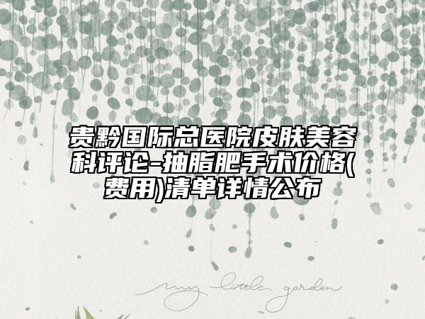 贵黔国际总医院皮肤美容科评论-抽脂肥手术价格(费用)清单详情公布