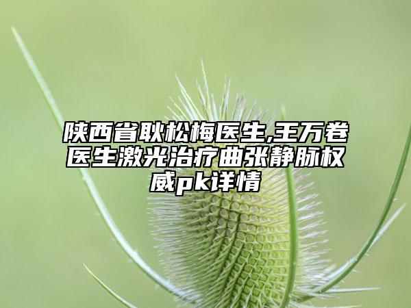陕西省耿松梅医生,王万卷医生激光治疗曲张静脉权威pk详情
