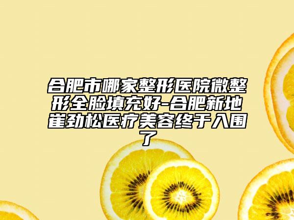 合肥市哪家整形医院微整形全脸填充好-合肥新地崔劲松医疗美容终于入围了