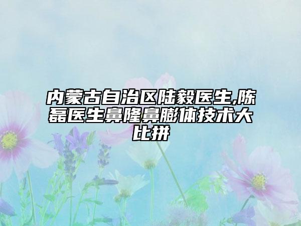 内蒙古自治区陆毅医生,陈磊医生鼻隆鼻膨体技术大比拼