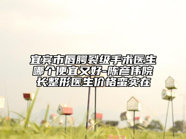 宜宾市唇腭裂级手术医生哪个便宜又好-陈彦伟院长整形医生价格蛮实在