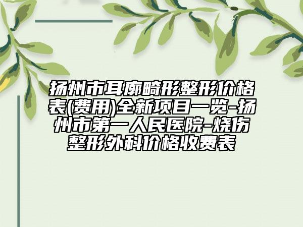 扬州市耳廓畸形整形价格表(费用)全新项目一览-扬州市第一人民医院-烧伤整形外科价格收费表