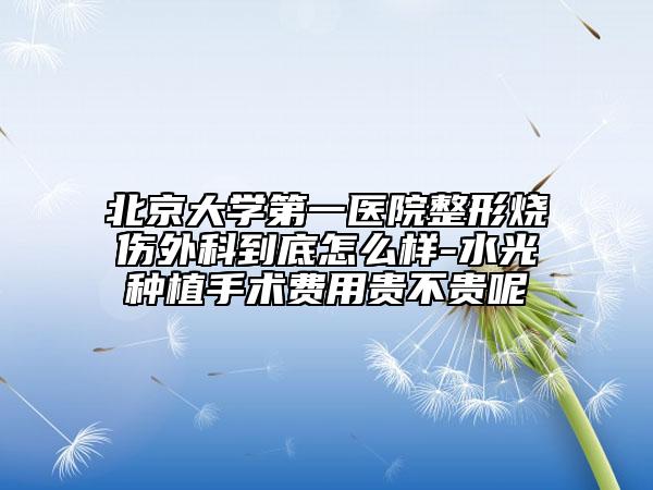 北京大学第一医院整形烧伤外科到底怎么样-水光种植手术费用贵不贵呢