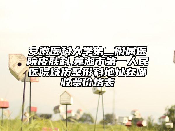 安徽医科大学第二附属医院皮肤科,芜湖市第一人民医院烧伤整形科地址在哪收费价格表