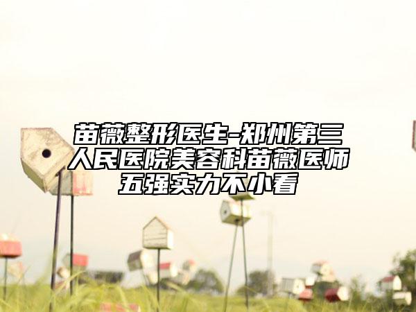 苗薇整形医生-郑州第三人民医院美容科苗薇医师五强实力不小看