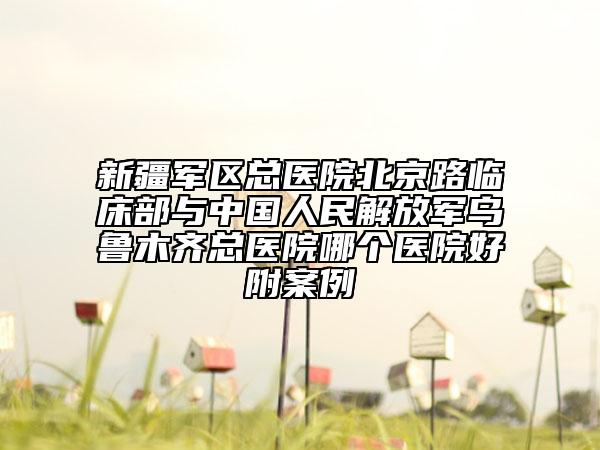 新疆军区总医院北京路临床部与中国人民解放军乌鲁木齐总医院哪个医院好附案例