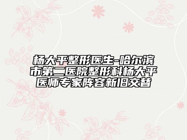 杨大平整形医生-哈尔滨市第二医院整形科杨大平医师专家阵容新旧交替