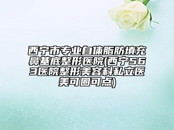 西宁市专业自体脂肪填充鼻基底整形医院(西宁563医院整形美容科私立医美可圈可点)