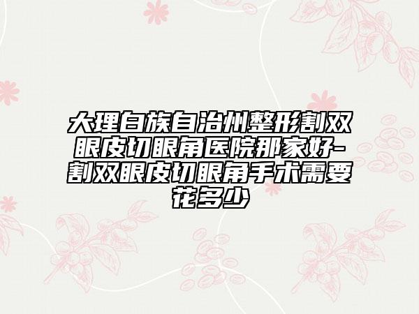 大理白族自治州整形割双眼皮切眼角医院那家好-割双眼皮切眼角手术需要花多少