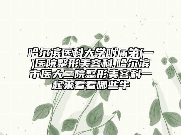哈尔滨医科大学附属第(一)医院整形美容科,哈尔滨市医大二院整形美容科一起来看看哪些牛