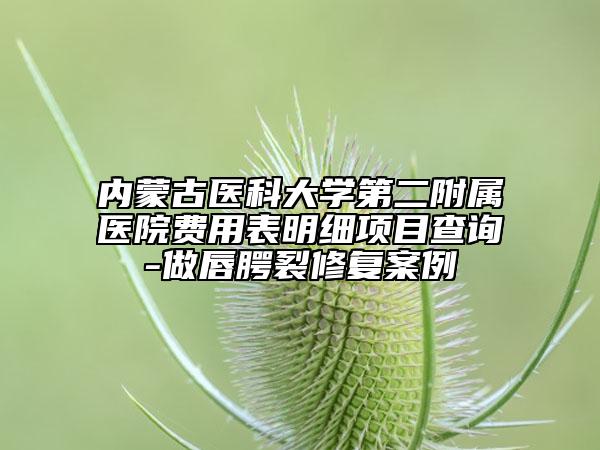 内蒙古医科大学第二附属医院费用表明细项目查询-做唇腭裂修复案例