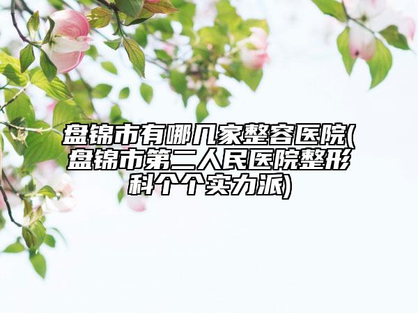 盘锦市有哪几家整容医院(盘锦市第二人民医院整形科个个实力派)
