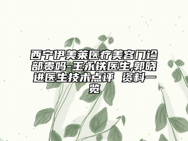 西宁伊美莱医疗美容门诊部贵吗-王永铁医生,郭晓进医生技术点评 资料一览