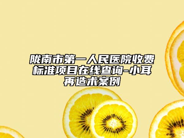 陇南市第一人民医院收费标准项目在线查询-小耳再造术案例