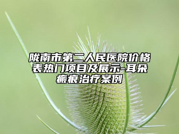 陇南市第二人民医院价格表热门项目及展示-耳朵瘢痕治疗案例