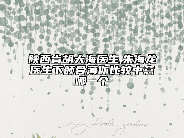 陕西省胡大海医生,朱海龙医生下颌骨薄你比较中意哪一个