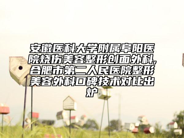 安徽医科大学附属阜阳医院烧伤美容整形创面外科,合肥市第二人民医院整形美容外科口碑技术对比出炉