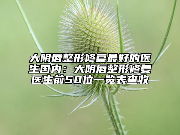 大阴唇整形修复最好的医生国内：大阴唇整形修复医生前50位一览表查收