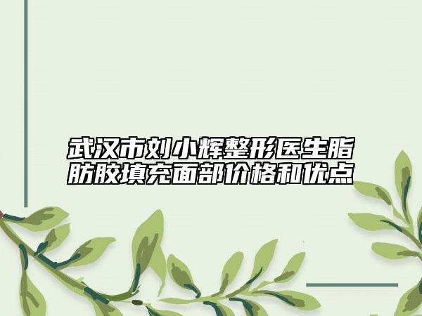 武汉市刘小辉整形医生脂肪胶填充面部价格和优点