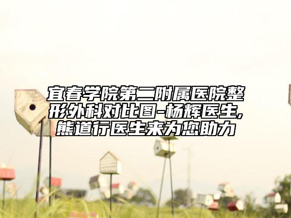 宜春学院第二附属医院整形外科对比图-杨辉医生,熊道行医生来为您助力