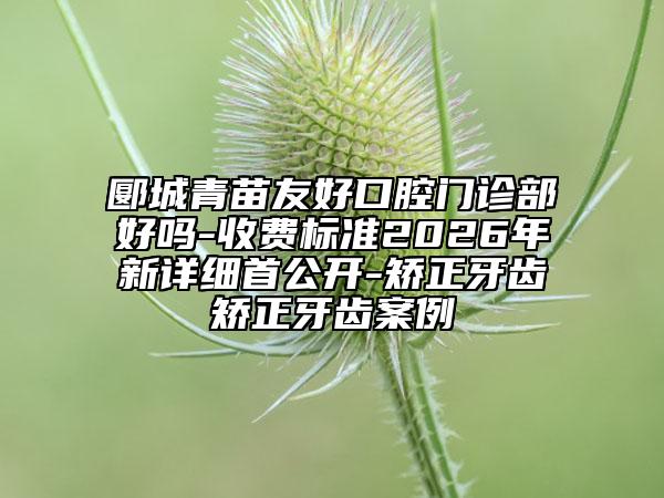 郾城青苗友好口腔门诊部好吗-收费标准2026年新详细首公开-矫正牙齿矫正牙齿案例
