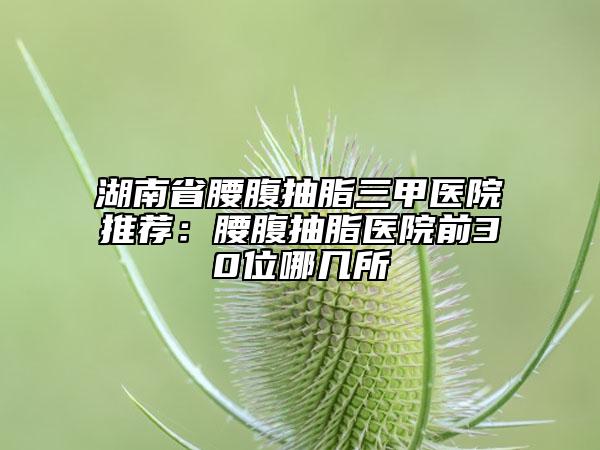 湖南省腰腹抽脂三甲医院推荐：腰腹抽脂医院前30位哪几所