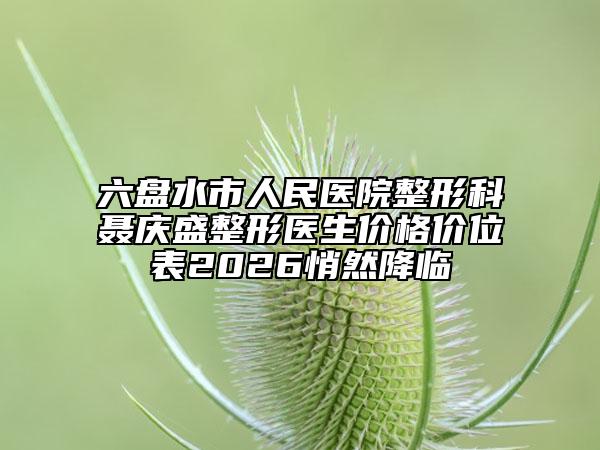 六盘水市人民医院整形科聂庆盛整形医生价格价位表2026悄然降临