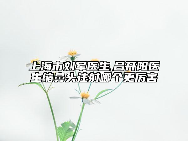 上海市刘军医生,吕开阳医生缩鼻头注射哪个更厉害