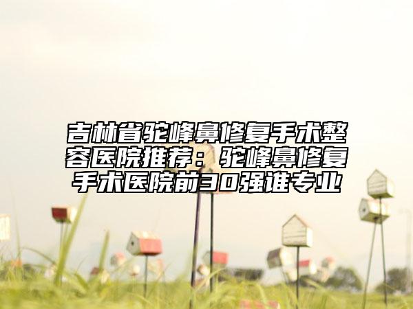 吉林省驼峰鼻修复手术整容医院推荐：驼峰鼻修复手术医院前30强谁专业