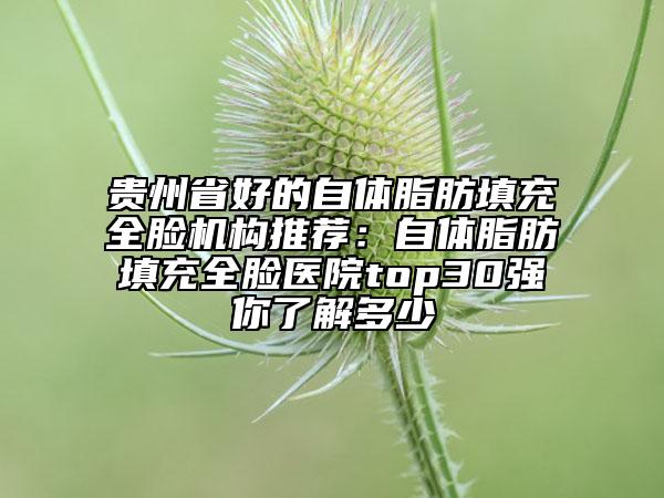 贵州省好的自体脂肪填充全脸机构推荐：自体脂肪填充全脸医院top30强你了解多少