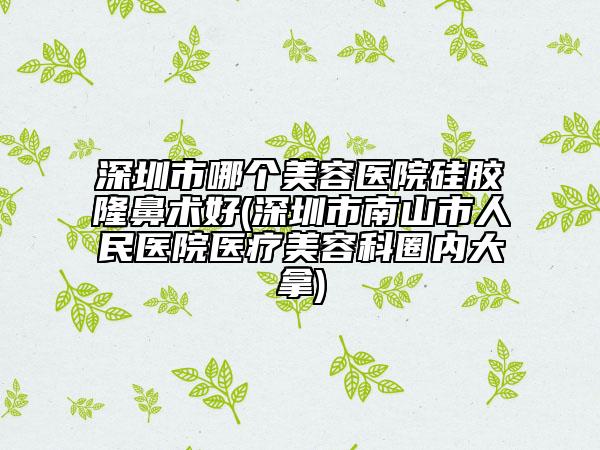 深圳市哪个美容医院硅胶隆鼻术好(深圳市南山市人民医院医疗美容科圈内大拿)