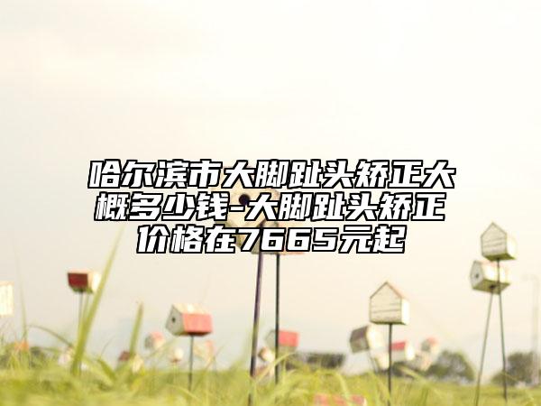 哈尔滨市大脚趾头矫正大概多少钱-大脚趾头矫正价格在7665元起