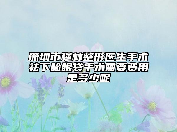 深圳市穆林整形医生手术祛下睑眼袋手术需要费用是多少呢