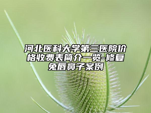 河北医科大学第三医院价格收费表简介一览-修复兔唇鼻子案例