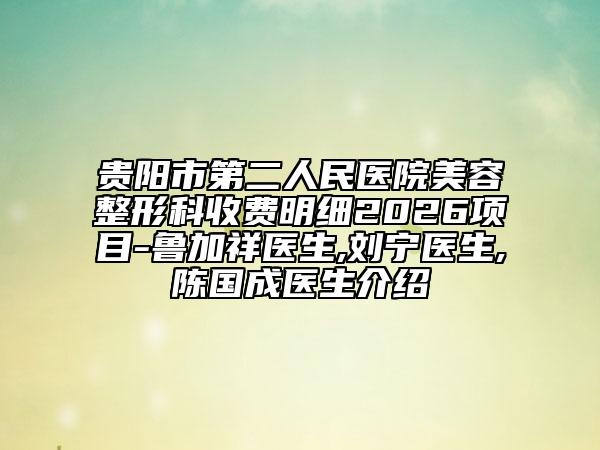 贵阳市第二人民医院美容整形科收费明细2026项目-鲁加祥医生,刘宁医生,陈国成医生介绍