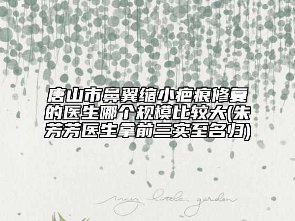 唐山市鼻翼缩小疤痕修复的医生哪个规模比较大(朱芳芳医生拿前三实至名归)