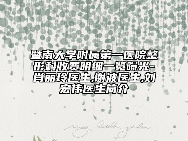 暨南大学附属第一医院整形科收费明细一览曝光-肖丽玲医生,谢波医生,刘宏伟医生简介