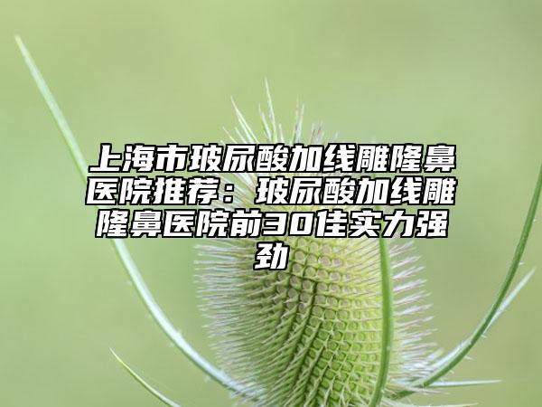 上海市玻尿酸加线雕隆鼻医院推荐：玻尿酸加线雕隆鼻医院前30佳实力强劲