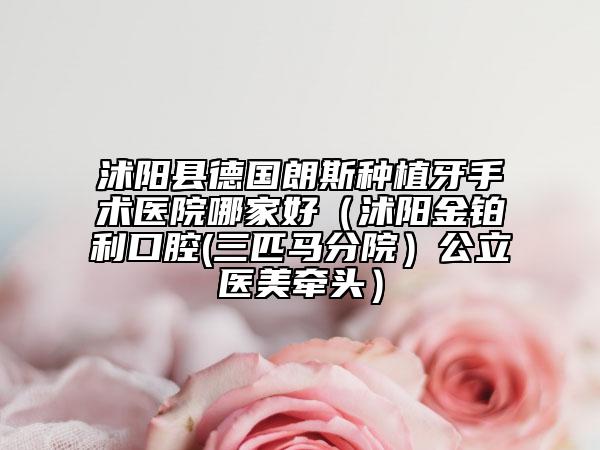 沭阳县德国朗斯种植牙手术医院哪家好（沭阳金铂利口腔(三匹马分院）公立医美牵头）