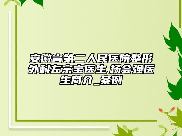安徽省第二人民医院整形外科左宗宝医生,杨会强医生简介_案例