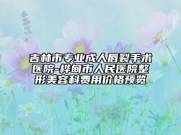 吉林市专业成人唇裂手术医院-桦甸市人民医院整形美容科费用价格预览