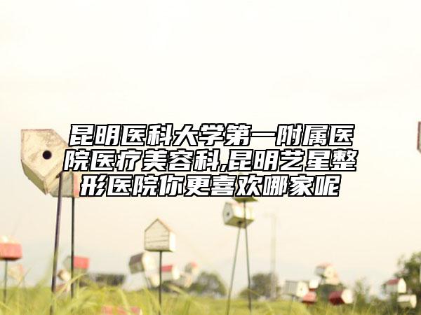 昆明医科大学第一附属医院医疗美容科,昆明艺星整形医院你更喜欢哪家呢