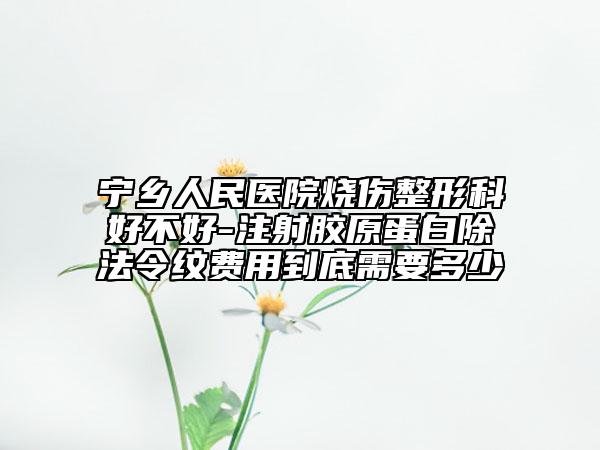 宁乡人民医院烧伤整形科好不好-注射胶原蛋白除法令纹费用到底需要多少